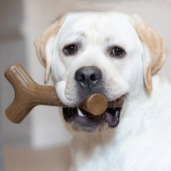 Benebone Maplestick Chew Dog Toy slide 2 of 6