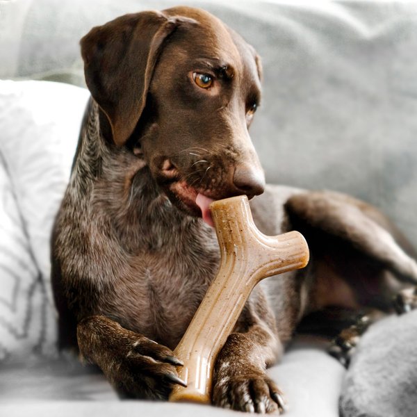 Show full view: Benebone Maplestick Tough Dog Chew Toy, Large slide 2 of 10