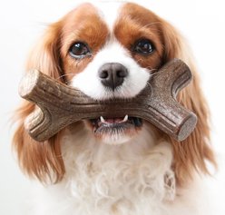 Benebone Maplestick Tough Dog Chew Toy, Small slide 2 of 6