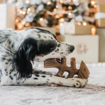 Show full view: Benebone Multipack Durable Dog Chew Toy, 4 count, Large slide 5 of 7