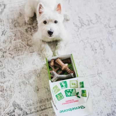 Show full view: Benebone Multipack Durable Dog Chew Toy, 4 count, Small slide 4 of 8