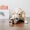 Show in main carousel: Benebone Multipack Durable Dog Chew Toy, 4 count, Small slide 5 of 8