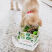 Show in main carousel: Benebone Multipack Durable Dog Chew Toy, 4 count, X-Small slide 3 of 8