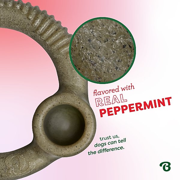 Show full view: Benebone Ring Peppermint Tough Dog Chew Toy, Medium slide 3 of 9