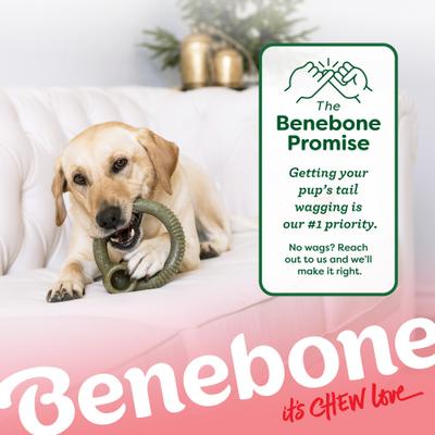 Show full view: Benebone Christmas Ring Peppermint Tough Dog Chew Toy, Medium slide 8 of 10