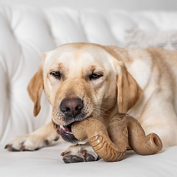 Benebone Tripe Bone Tough Dog Chew Toy, Brown