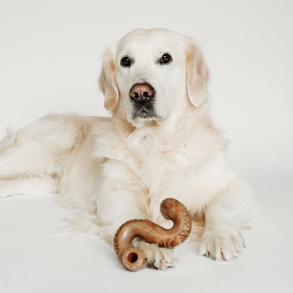 Benebone Tripe Bone Tough Dog Chew Toy, Brown