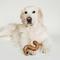 Show in main carousel: Benebone Tripe Bone Tough Dog Chew Toy, Brown, Large slide 5 of 7