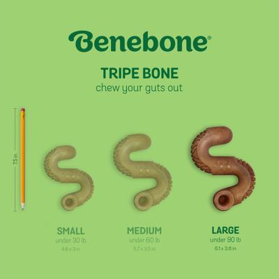 Show full view: Benebone Tripe Bone Tough Dog Chew Toy, Brown, Large slide 6 of 7