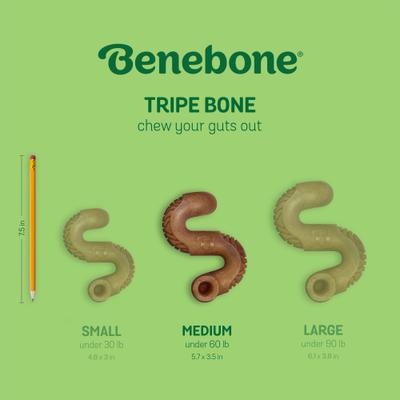 Show full view: Benebone Tripe Bone Tough Dog Chew Toy, Brown, Medium slide 7 of 9