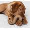 Show in main carousel: Benebone Tripe Bone Tough Dog Chew Toy, Brown, Small slide 2 of 8