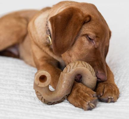 Show full view: Benebone Tripe Bone Tough Dog Chew Toy, Brown, Small slide 2 of 8
