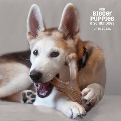 Show full view: Benebone Wishbone Bacon Flavor Chew Puppy Toy slide 5 of 8