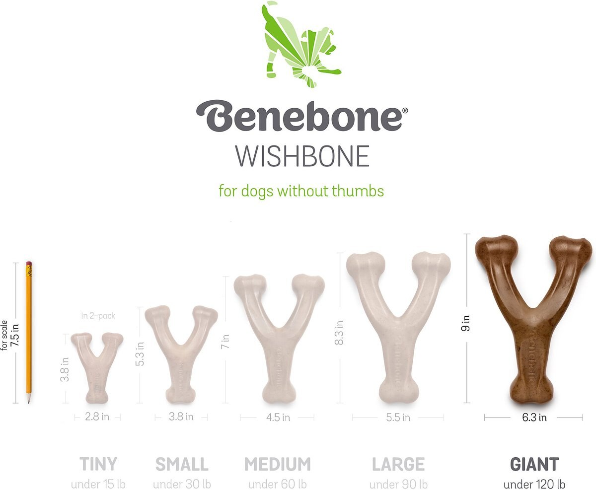 Benebone Wishbone Chicken Flavor Chew Dog Toy