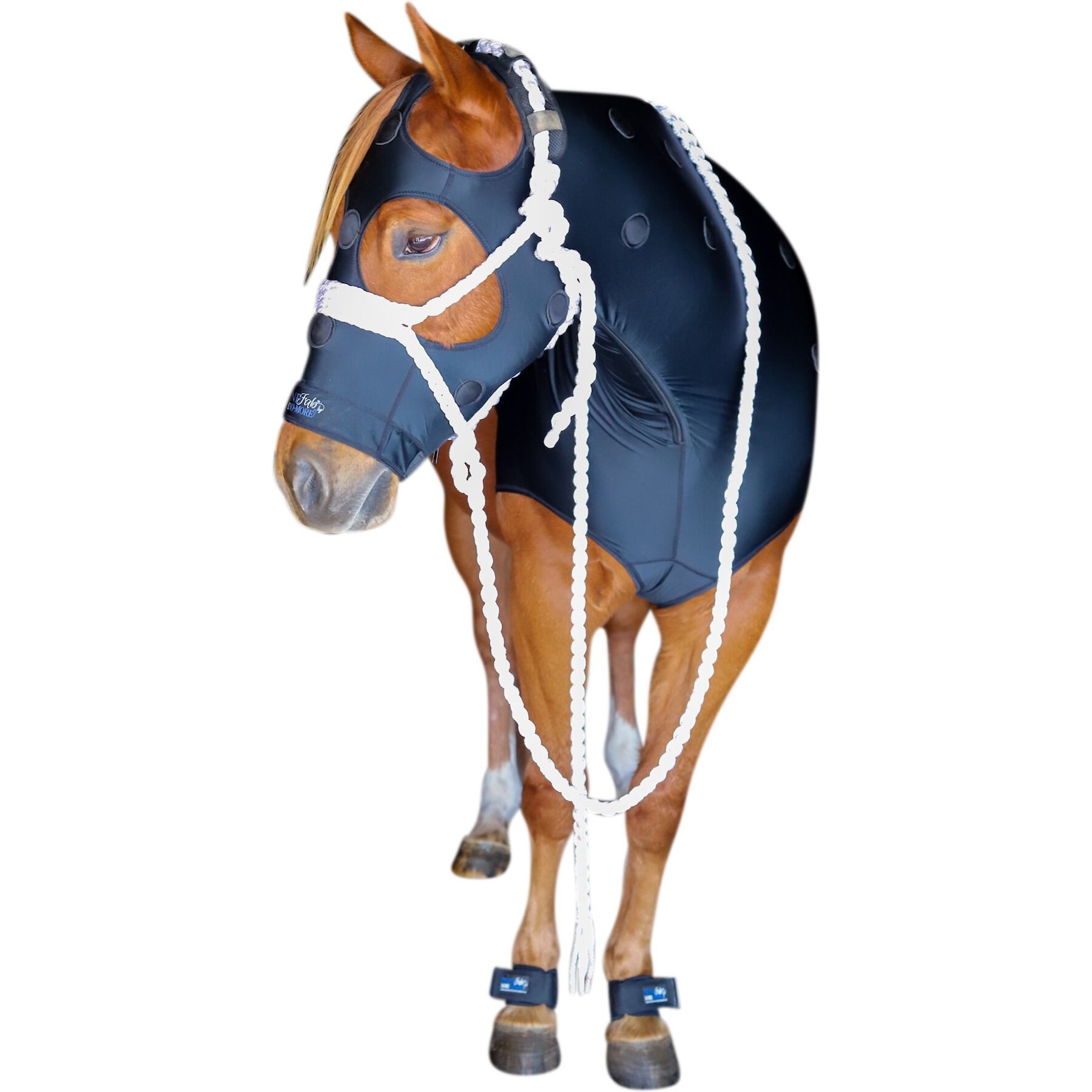 Benefab Rejuvenate Horse SmartHood, Medium