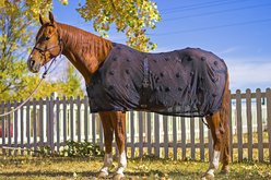 Benefab Rejuvenate Horse SmartScrim, 74-in slide 2 of 2