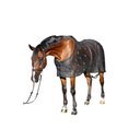 Benefab Rejuvenate Horse SmartScrim, 78-in