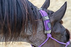 Benefab Therapeutic Horse Poll Pad, Purple slide 2 of 2