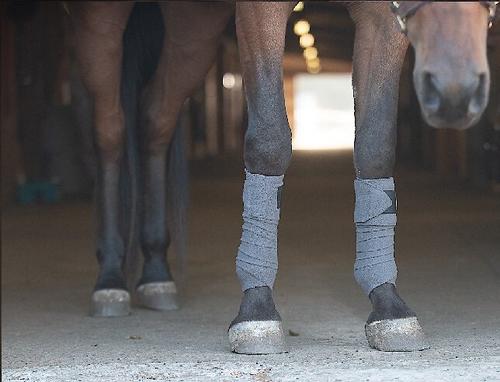 Show full view: Benefab Therapeutic Horse Polo Wraps, 4-pack slide 2 of 2