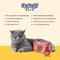 Show in main carousel: Benny Bullys Mini Chops Smart Pack Beef Liver Plus Cranberry Freeze-Dried Cat Treats, .6-oz box slide 4 of 6
