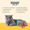 Show in main carousel: Benny Bullys Mini Chops Smart Pack Salmon & Rosemary Freeze-Dried Cat Treats, .6-oz box slide 3 of 6