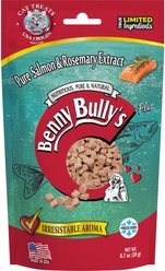 Benny Bullys Salmon & Rosemary Chops Raw Freeze-Dried Cat Treats, 0.7-oz bag