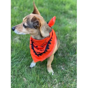 Ben's Insect Shield Bandana for Dogs