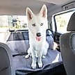 Show in main carousel: Bergan Bucket Car Seat Cover, Grey/Black, 62 x 47-in slide 2 of 3