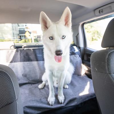 Show full view: Bergan Bucket Car Seat Cover, Grey/Black, 62 x 47-in slide 2 of 3