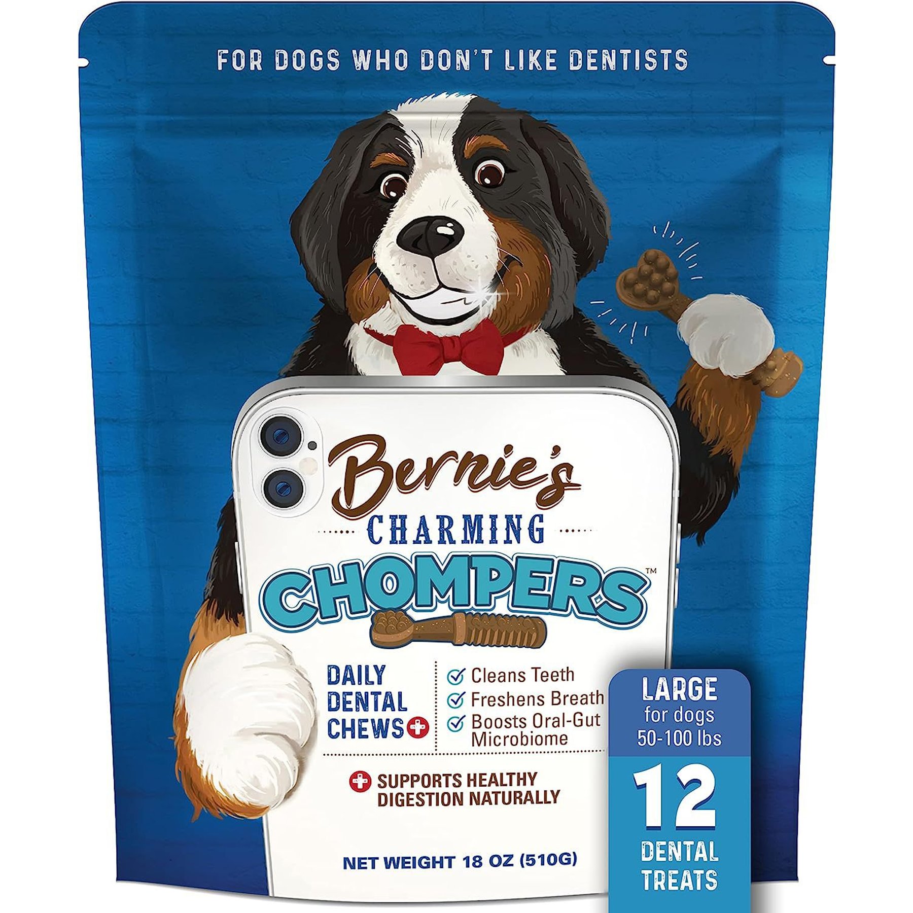 Bernie's Charming Chompers Daily Dental Chews Large Dog Treats, 12 count