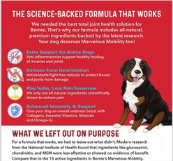 Bernie's Marvelous Mobility Daily Hip & Joint Supplement, 90 count slide 2 of 7