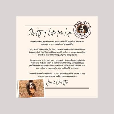 Show full view: Bernie's Marvelous Mobility Daily Hip & Joint Supplement, 90 count slide 8 of 9