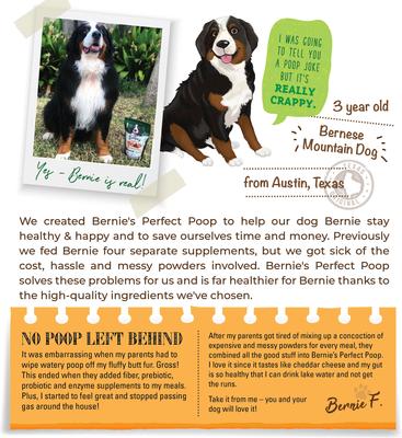 Show full view: Bernie's Perfect Poop Cheddar Cheese Flavor Digestion Support Dog Supplement, 12.8-oz bag slide 6 of 12