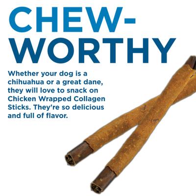 Show full view: Best Bully Sticks 12-inch Collagen Chicken Wrapped Sticks Dog Treats, 6 count slide 3 of 5