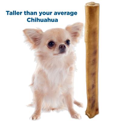 Show full view: Best Bully Sticks 12" Monster Bully Sticks Dog Treats, 2 count slide 6 of 12