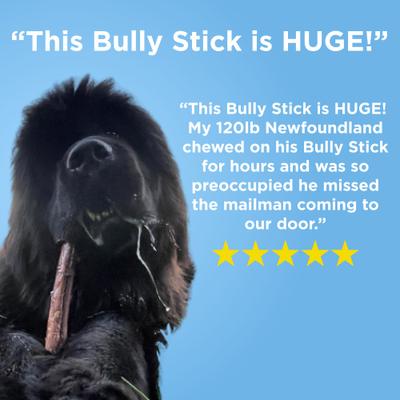 Show full view: Best Bully Sticks 12" Monster Bully Sticks Dog Treats, 3 count slide 5 of 8
