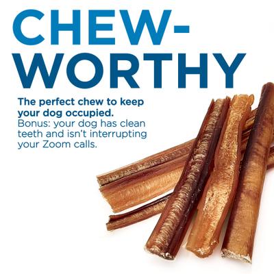 Show full view: Best Bully Sticks 6" Angus Bully Sticks Dog Treats, 20 count slide 3 of 7