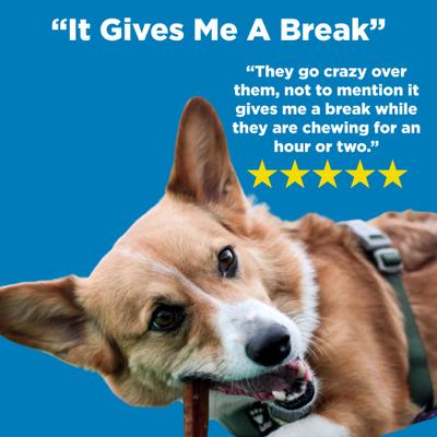 Show full view: Best Bully Sticks 6" Angus Bully Sticks Dog Treats, 20 count slide 5 of 7