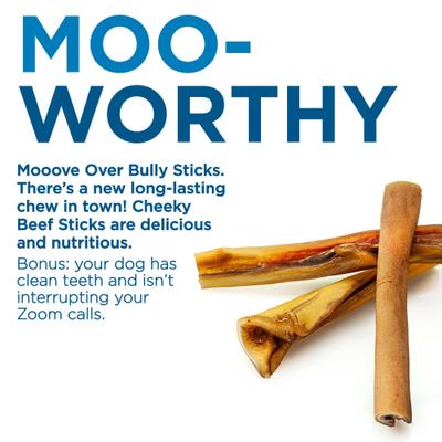 Show full view: Best Bully Sticks 6-inch Cheeky Beef Flavored Dog Hard Chews, 20 count slide 3 of 8