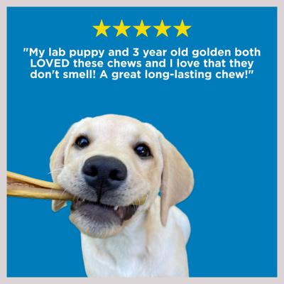 Show full view: Best Bully Sticks 6-inch Cheeky Beef Flavored Dog Hard Chews, 20 count slide 5 of 8