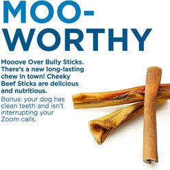 Best Bully Sticks 6-inch Cheeky Beef Flavored Dog Hard Chews, 5 count slide 2 of 7