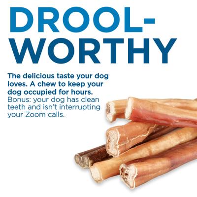 Show full view: Best Bully Sticks 6-in Thick Bully Sticks Dog Treats, 18 count slide 4 of 7