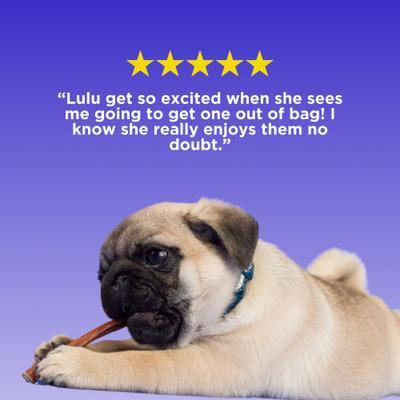 Show full view: Best Bully Sticks Beef Gullet Sticks Dog Chews, 6-in, 25 count slide 6 of 7