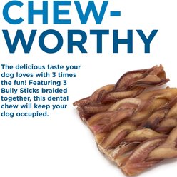 Best Bully Sticks Braided 6" Bully Stick Dog Treats, 3 count slide 2 of 4