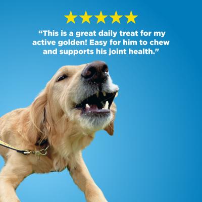 Show full view: Best Bully Sticks Bully Sliders Natural Dehydrated Dog Treats, 10 count slide 6 of 7