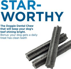 Best Bully Sticks Doggie Beef Flavored Dental Chew Dog Treats, 10 count slide 2 of 6