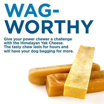 Show full view: Best Bully Sticks Himalayan Golden Yak Cheese Chews Mixed Pack Dog Treats slide 3 of 7