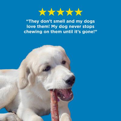 Show full view: Best Bully Sticks Jumbo Odor Free 6" Bully Sticks Dog Treats, 20 count slide 5 of 11