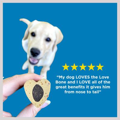 Show full view: Best Bully Sticks Love Bone Chicken Flavored Chew Dog Treats, 6 count slide 5 of 8