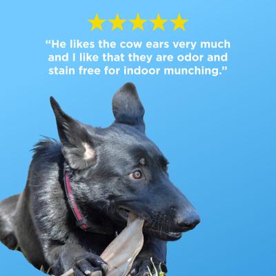 Show full view: Best Bully Sticks Natural Cow Ear Dog Chews, 12 count slide 6 of 6